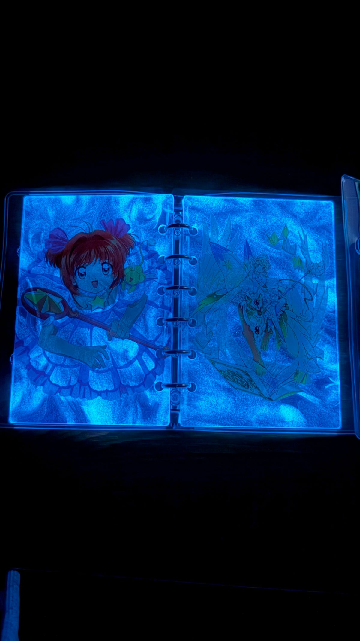 GLOW SAKURA/DISPLAY ONLY