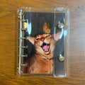 CAT&BUTEERFLY/DISPLAY ONLY