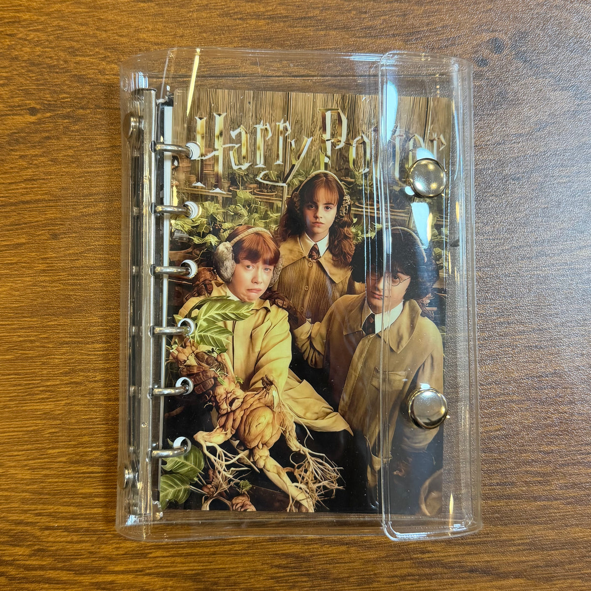 HARRY POTTER/DISPLAY ONLY