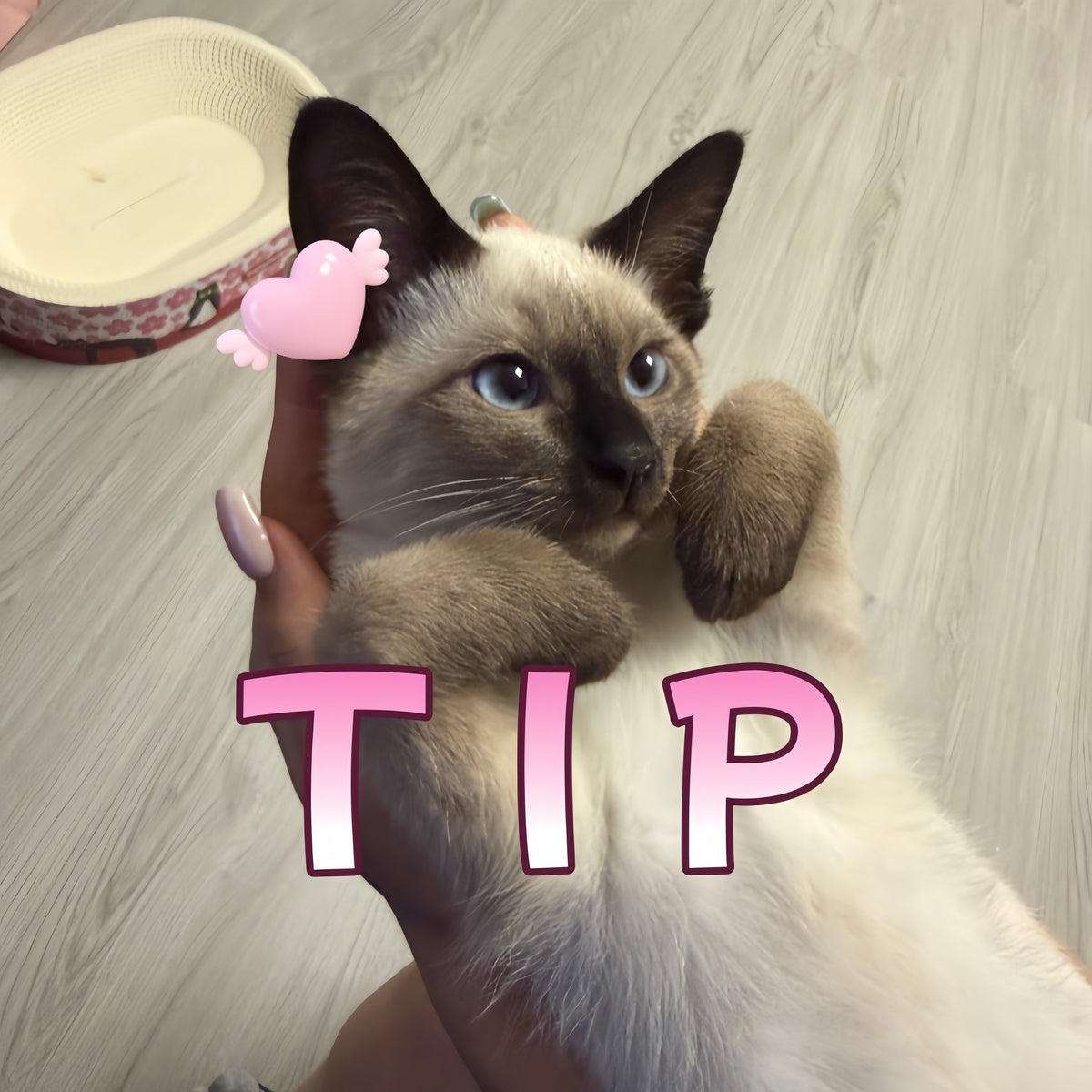 TIP