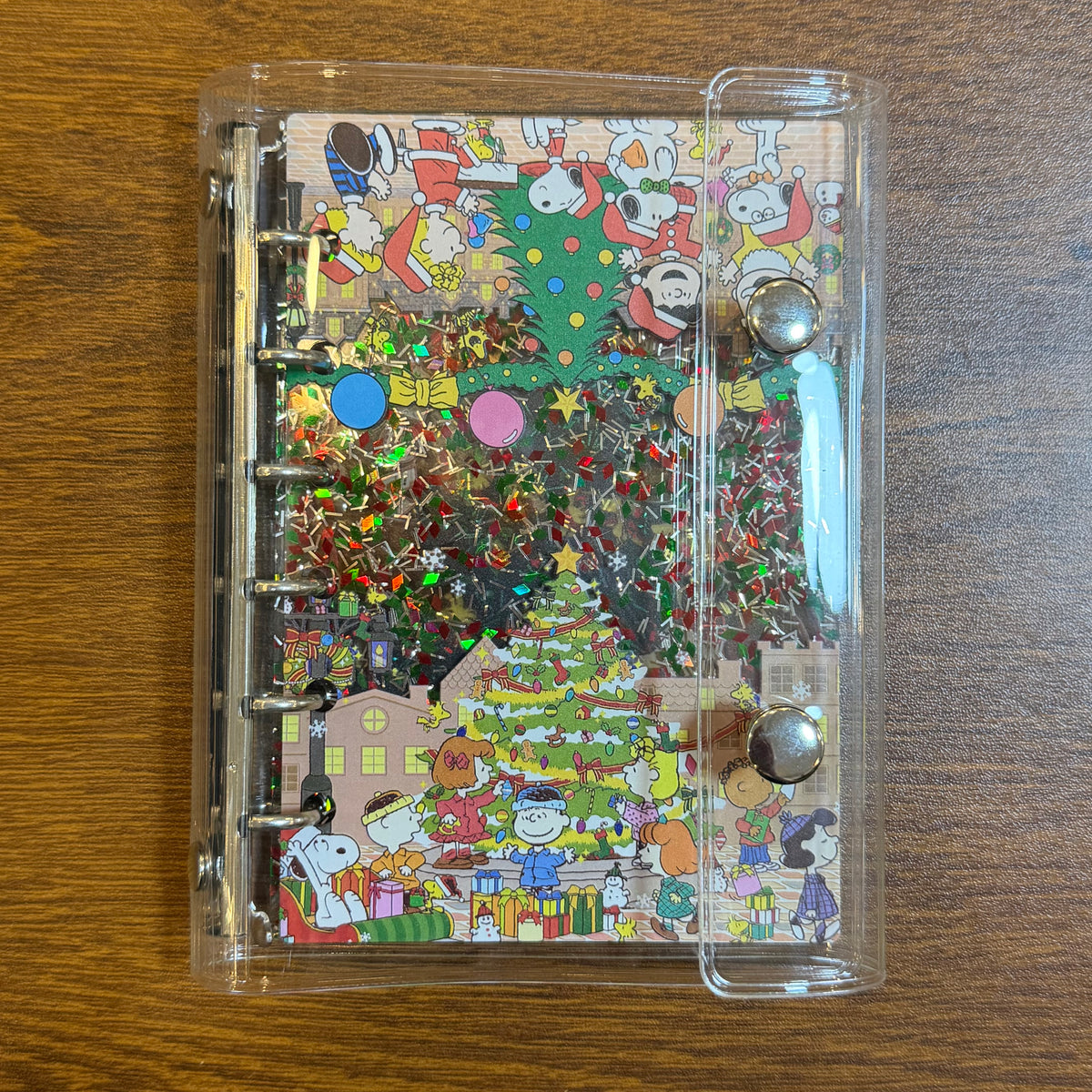 SNOOPY/DISPLAY ONLY