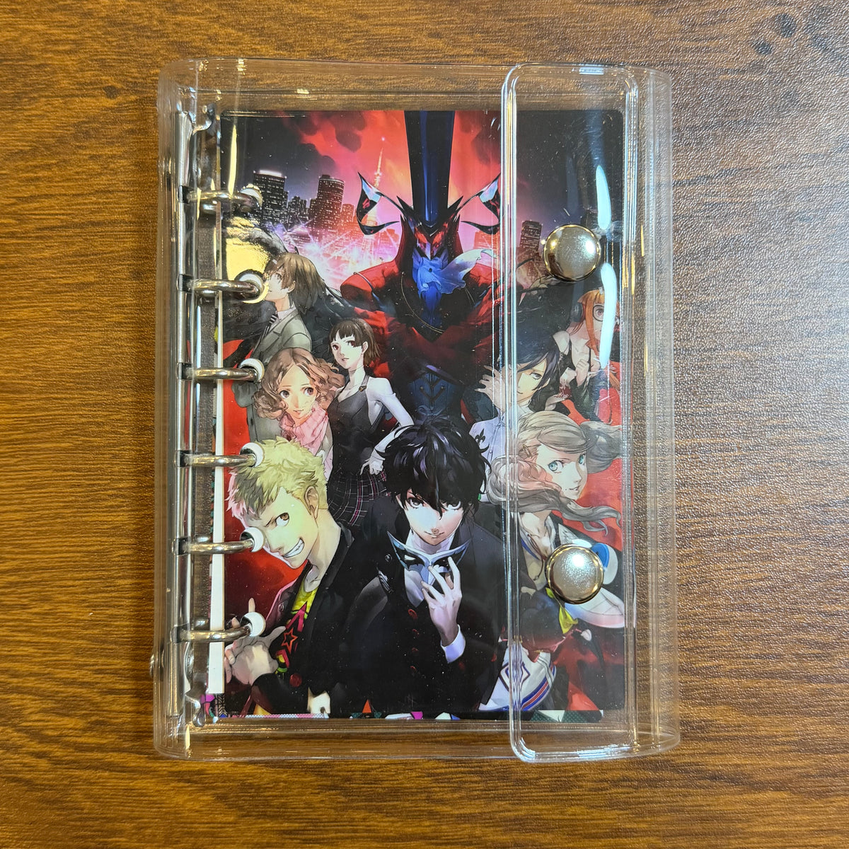 P5R/DISPLAY ONLY
